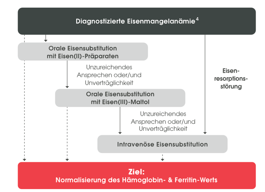 diagnostizierte-eisenmangelanaemie-diagramm